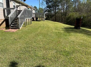 Curtis P.'s lawn service service result