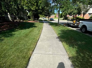 Bernard C.'s lawn service service result
