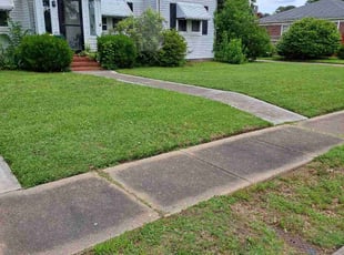 Lori S.'s lawn care services service result