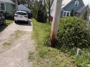 Joe M.'s lawn care service result
