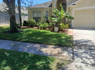 Cindy C.'s grass cutting service result