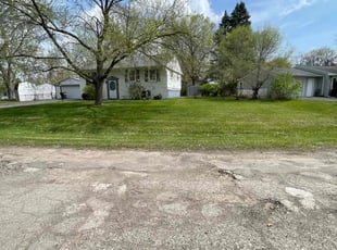 Alex L.'s lawn care service result