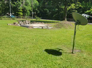 Kelly C.'s landscaping service result