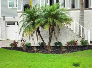 Sean N.'s Flower Bed Weeding service result