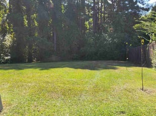 Jacky B.'s grass cutting service result