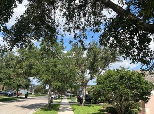 Rivers G.'s Tree Trimming service result