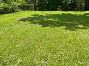 Kimberly h.'s lawn care services service result