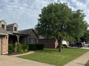Lynette L.'s landscaping services service result