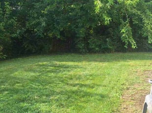 Angela M.'s lawn care services service result