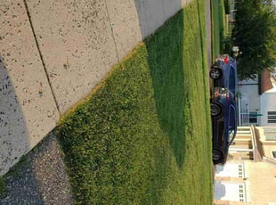 Kerrianne H.'s yard service service result