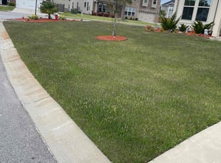 Naqua E.'s lawn maintenance service result