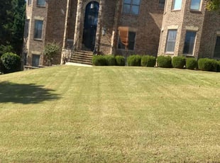 Rahat S.'s lawn service service result