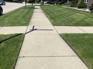 Annice C.'s lawn service service result
