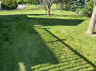 Tony K.'s grass cutting service result
