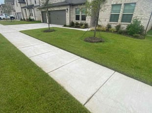 Sasha S.'s landscaping service result