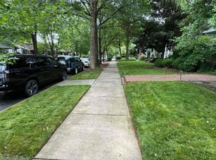 Deidra W.'s grass cutting service result