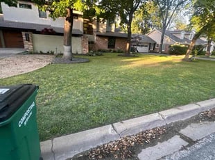 Eric C.'s grass maintenance service result