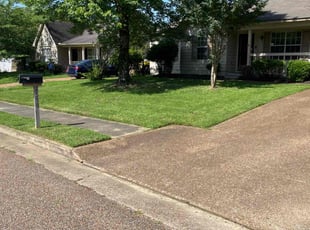 Desie H.'s turf care service result