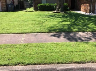 Pat C.'s grass maintenance service result