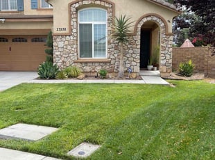 Brandon L.'s turf maintenance service result