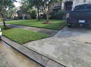 Cindy F.'s turf care service result