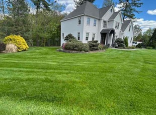 Paul L.'s lawn care service result