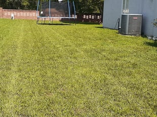 Shannon R.'s lawn service service result