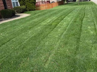 Faith B.'s lawn care service result