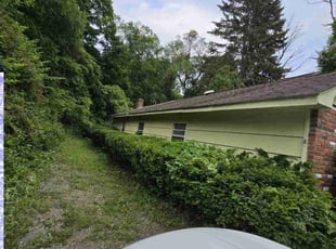 Dwayne M.'s Bush Trimming service result