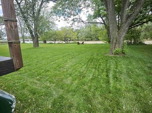 Tracy F.'s turf maintenance service result