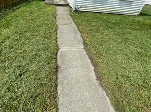 Emerald D.'s lawn care services service result