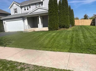 Sydney E.'s grass maintenance service result
