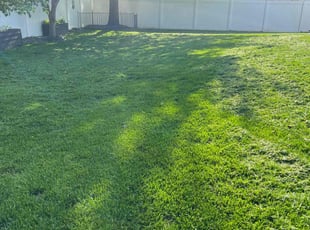 Wendy S.'s turf maintenance service result