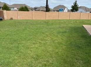 Deandre B.'s lawn service service result