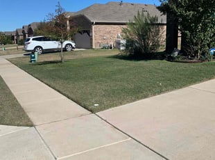 Tim N.'s lawn maintenance service result