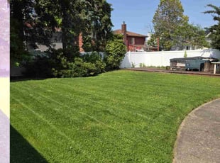 Janet B.'s turf maintenance service result