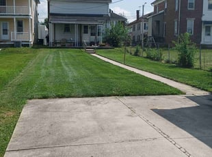 Allison L.'s turf maintenance service result