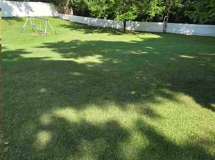 Megan B.'s lawn service service result