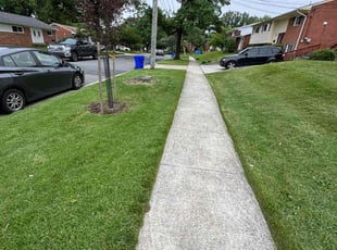 Juan C.'s lawn maintenance service result