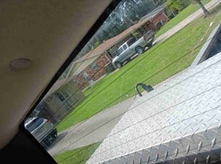 Gabrielle W.'s lawn service service result