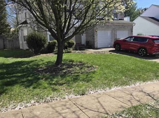 Barbara W.'s turf care service result