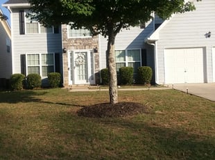 Tracy O.'s Bush Trimming service result