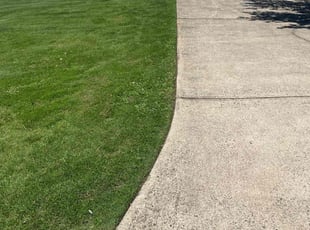 Kathy B.'s lawn service service result