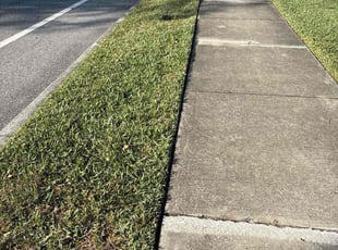 Tom S.'s grass cutting service result