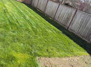 Jorge L.'s turf maintenance service result