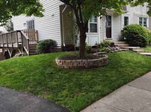 Manolya T.'s lawn care services service result