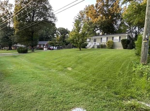 Michael H.'s lawn care services service result