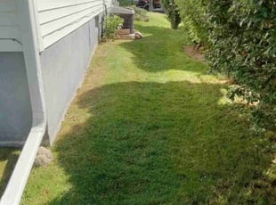 Mark P.'s grass cutting service result