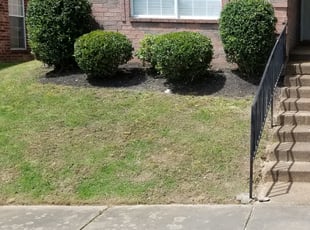 Justin A.'s Bush Trimming service result
