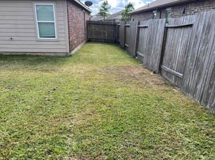 Letonia G.'s grass maintenance service result